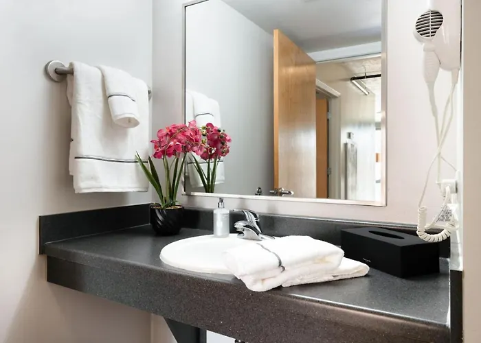 Downtown 3bd Near Park Museums #7 Apartamento