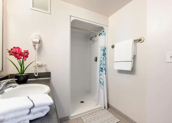 Downtown 3bd Near Park Museums #7 * Chicago